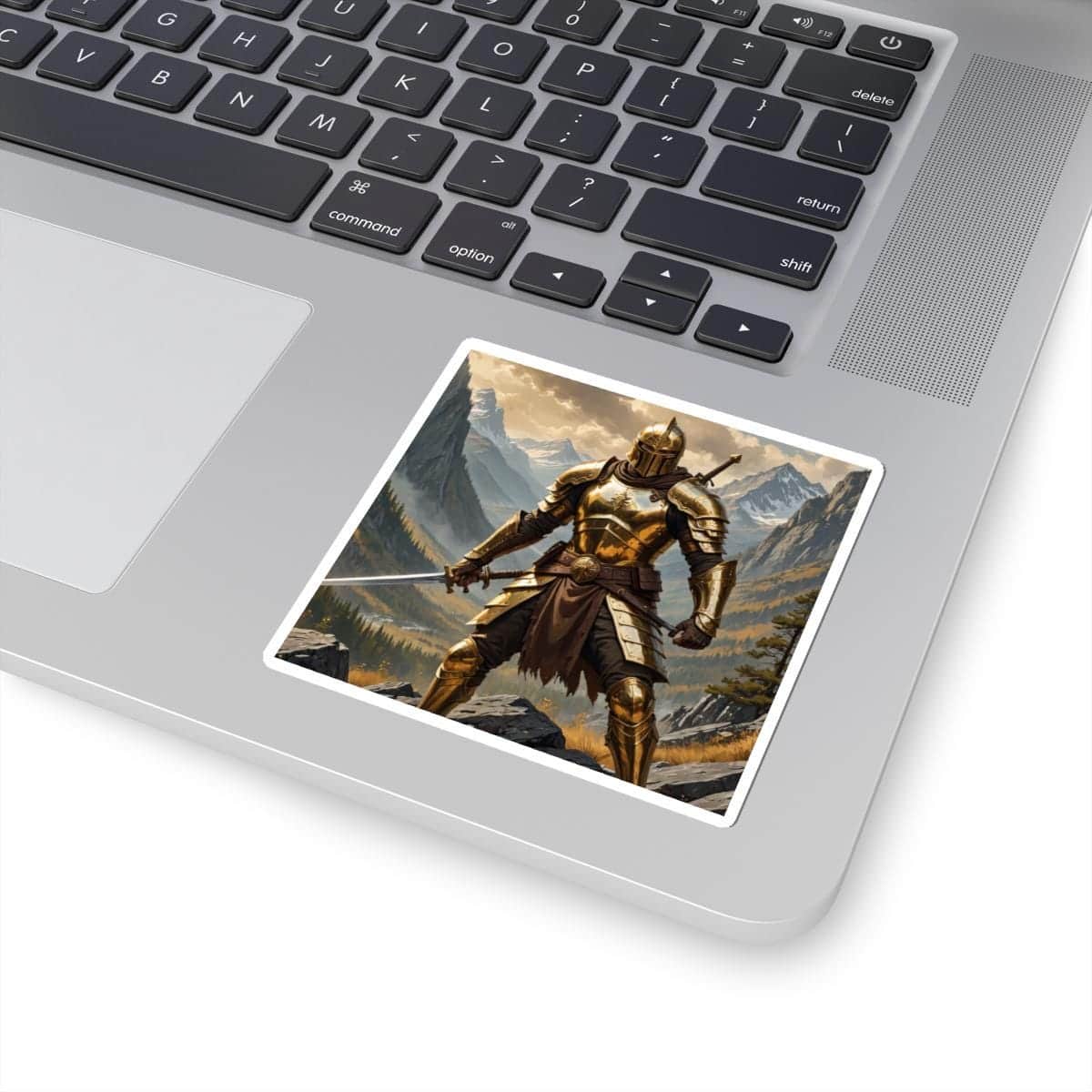 Photo 2 of 4: Sticky cover for combat journals, featuring a detailed warrior wielding a sword, printed on a sticker