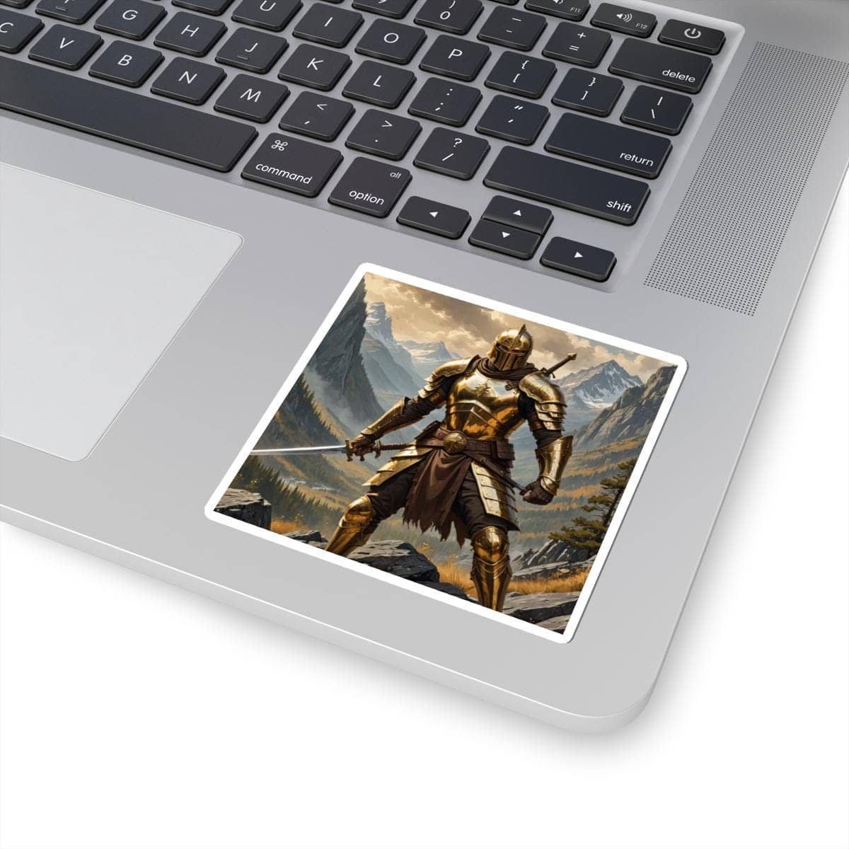 Sticky cover for combat journals, featuring a detailed warrior wielding a sword, printed on a sticker